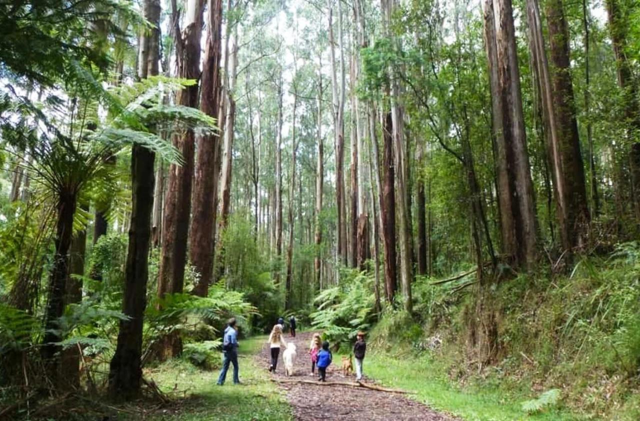 Ferny Hill Retreat, Emerald Victoria Exterior photo